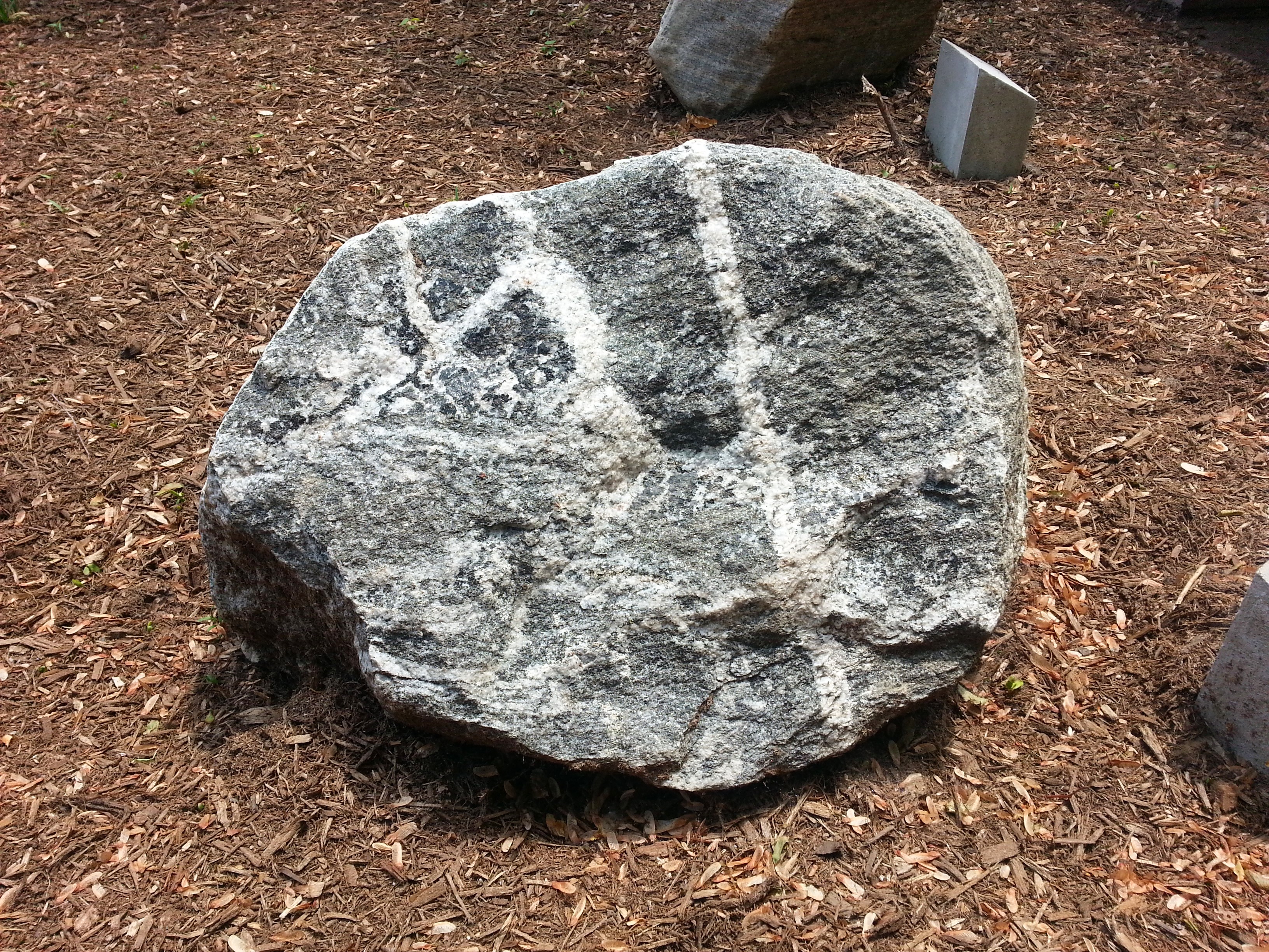 Gneiss